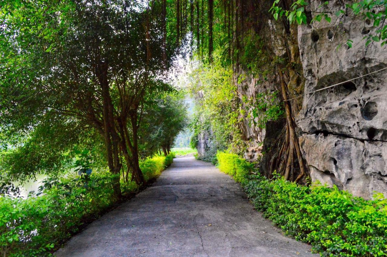Tam Coc Nature نينه بينه المظهر الخارجي الصورة