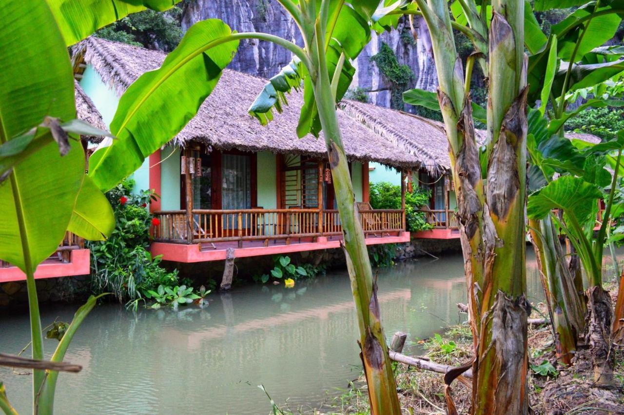 Tam Coc Nature نينه بينه المظهر الخارجي الصورة