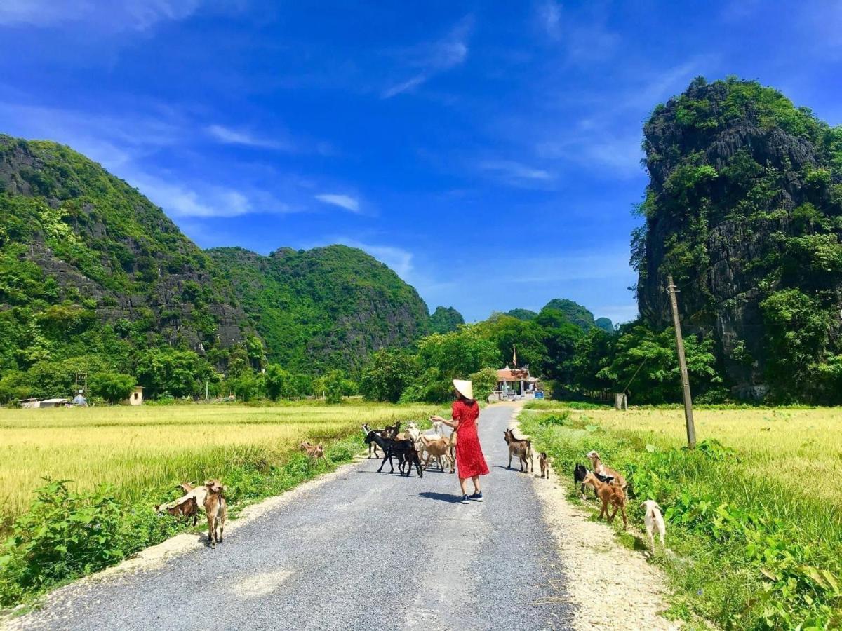 Tam Coc Nature نينه بينه المظهر الخارجي الصورة